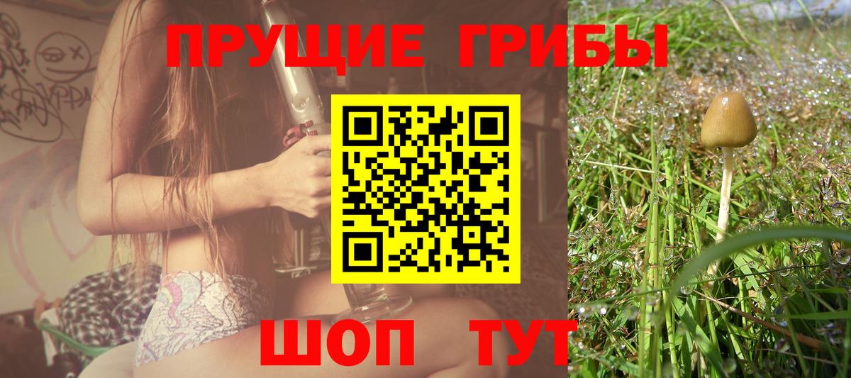 Псилоцибиновые грибы Psilocybine cubensis Татарск