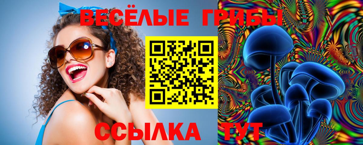Татарск  Галлюциногенные грибы Psilocybe  Вход с VPN  Псилоцибиновые грибы Magic Shrooms 