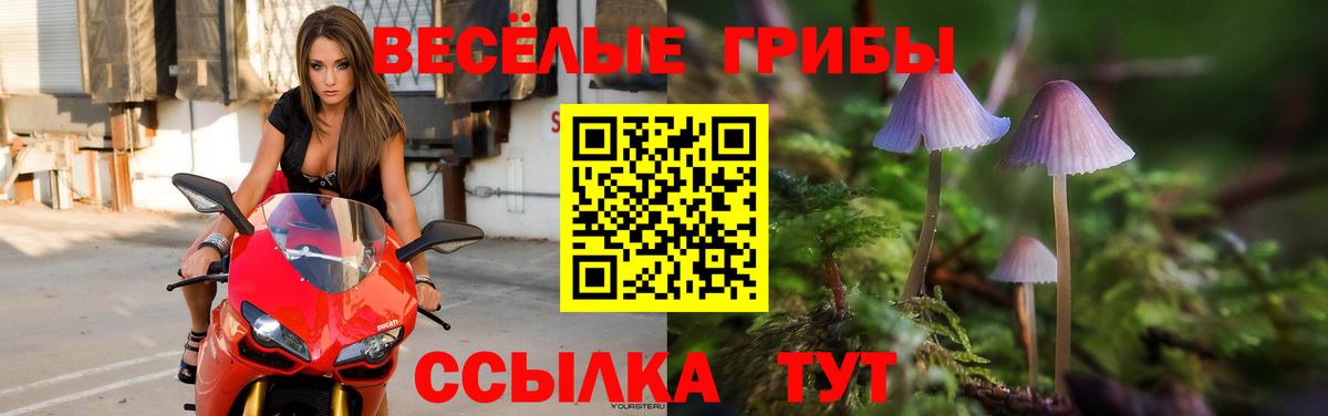Лсд 25 Татарск